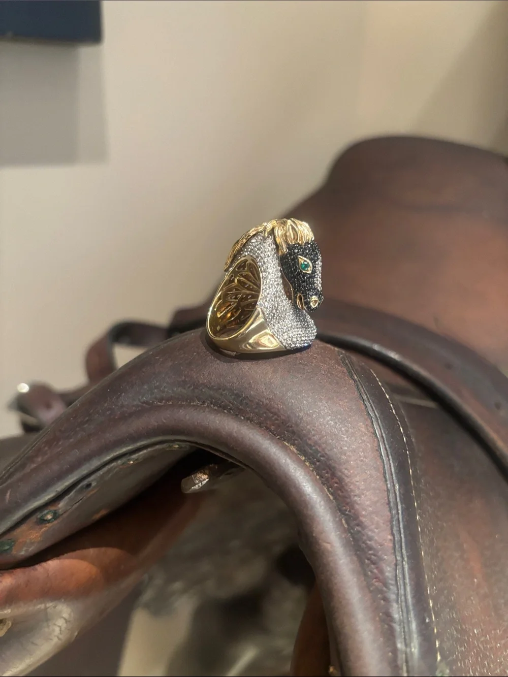 Equestrian horse ring